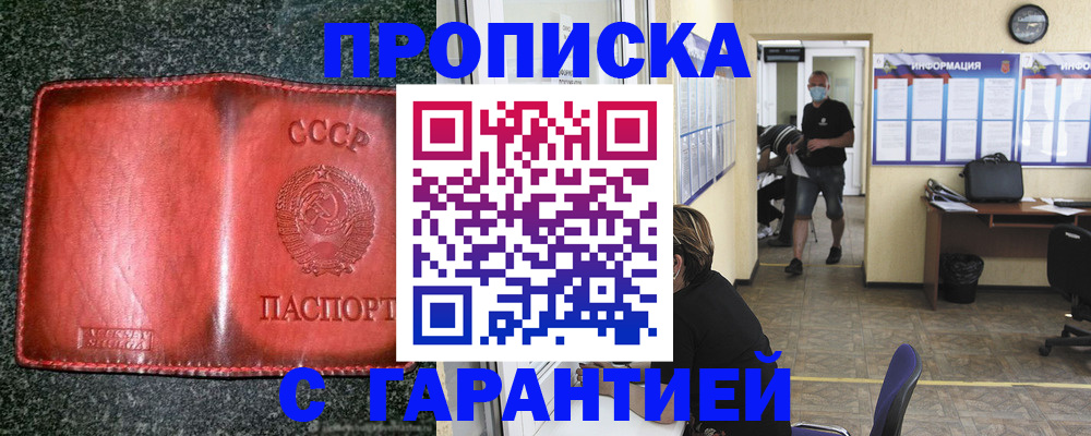 прописка гарантия в Северске